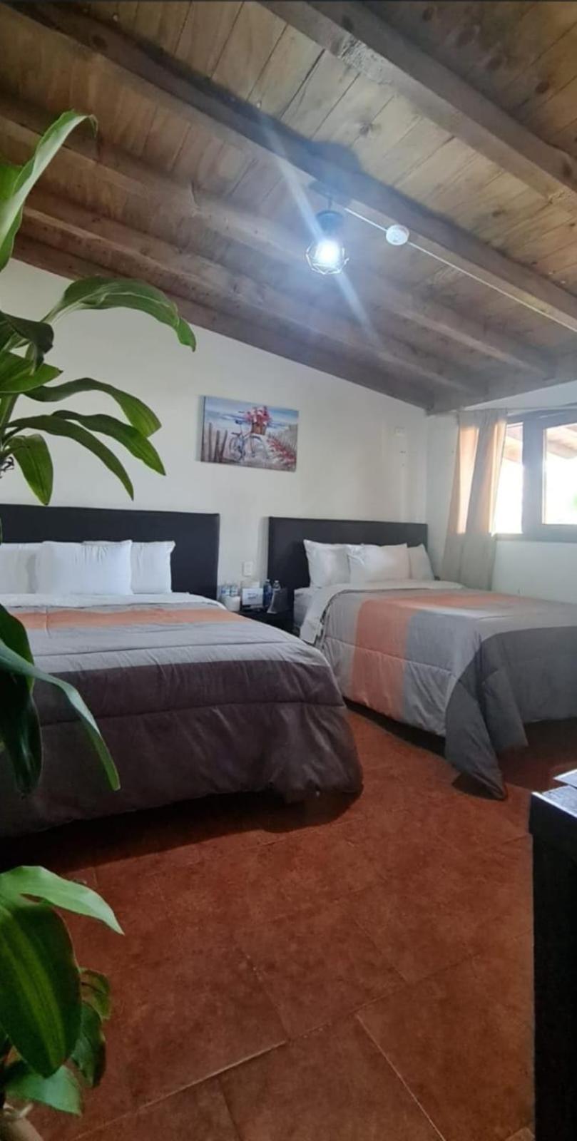Hotel Villas Mariposas Атліско Екстер'єр фото